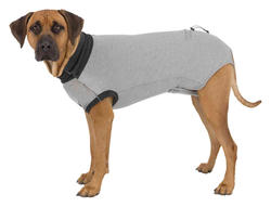 Trixie Köpekler İçin Koruyucu Gövde Kıyafeti L 55cm Gri - Thumbnail