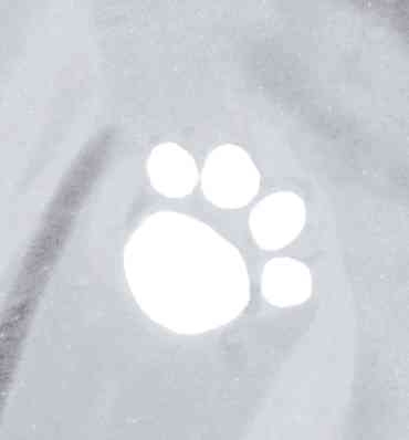 Trixie Köpek Yağmurluk L 55cm Transparan Şeffaf Siyah Biyeli