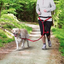 Trixie Köpek Yürüme Koşma Gezdirme Kayışı Kırmızı - Thumbnail