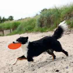 Trixie Köpek Yüzen Termoplastik Kauçuk Frizbi 22cm - Thumbnail