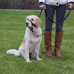 Trixie - Trixie Uzman Köpek Eğitim Tasması S 22cm