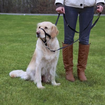 Trixie Uzman Köpek Eğitim Tasması 46cm XL