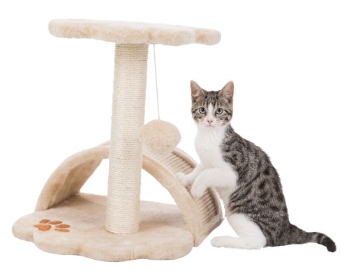 Trixie Yavru Kedi Tırmalama ve Oyun Tahtası 43cm